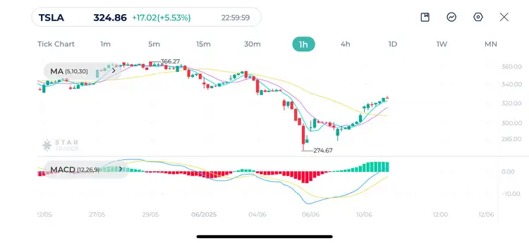 Tesla 1H Chart 11 June 2025